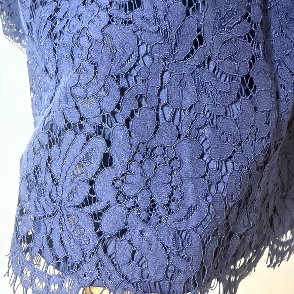 Isaac Mizrahi Navy Lace Dress - Picture 3 of 5